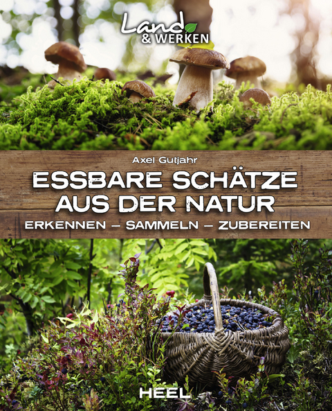 Essbare Schätze aus der Natur: Erkennen – Sammeln – Zubereiten - Axel Gutjahr