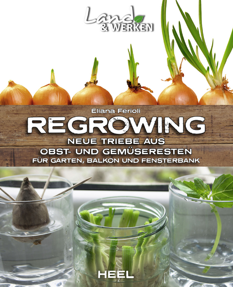 Regrowing – Neue Triebe aus Obst- und Gemüseresten - Eliana Ferioli