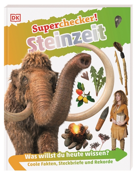 Superchecker! Steinzeit - Klint Janulis