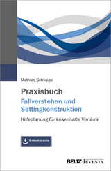 Praxisbuch Fallverstehen und Settingkonstruktion - Mathias Schwabe