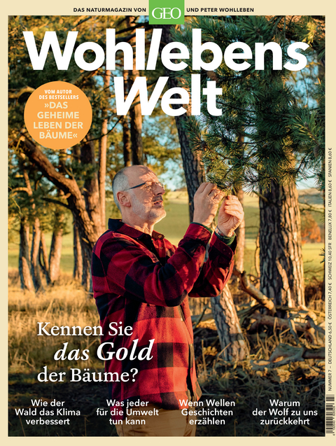 Wohllebens Welt / Wohllebens Welt 7/2020 - Kennen Sie das Gold der Bäume? - Peter Wohlleben