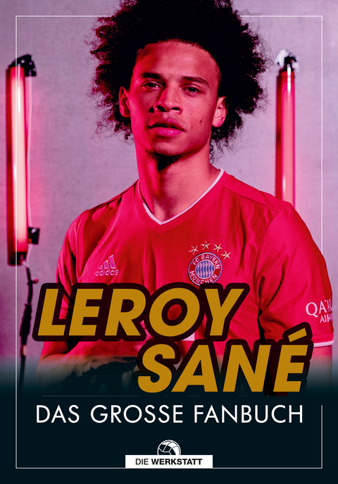 Leroy Sane - Natasha Schipke