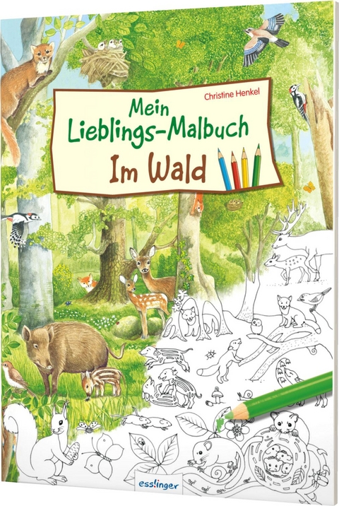 Mein Lieblings-Malbuch – Im Wald