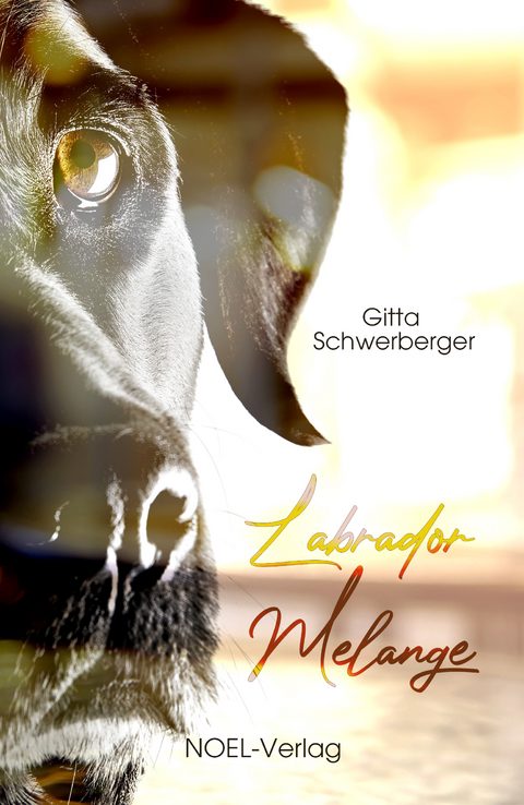 Labrador Melange - Gitta Schwerberger