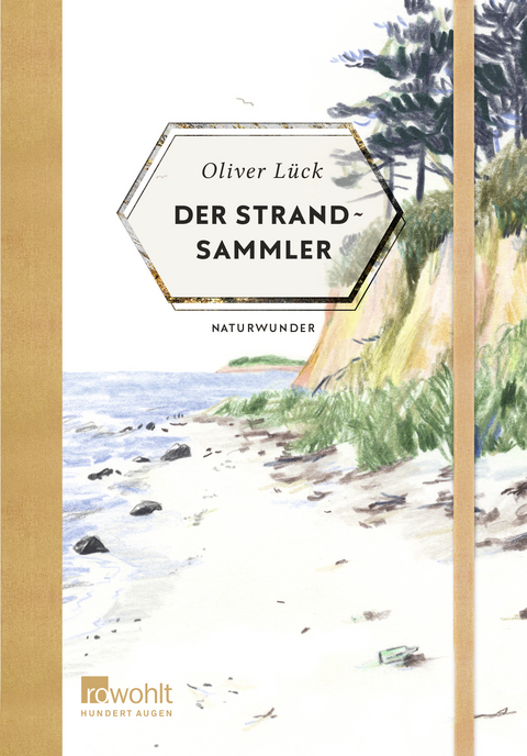 Der Strandsammler - Oliver Lück