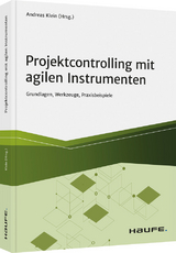 Projektcontrolling mit agilen Instrumenten - Andreas Klein