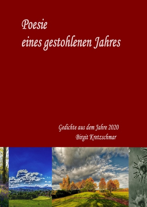 Poesie eines gestohlenen Jahres - Birgit Kretzschmar