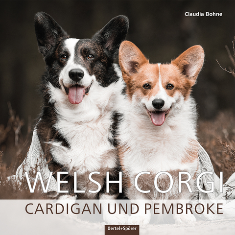 Welsh Corgi - Claudia Bohne