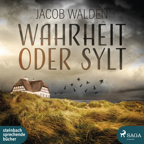 Wahrheit oder Sylt - Jacob Walden