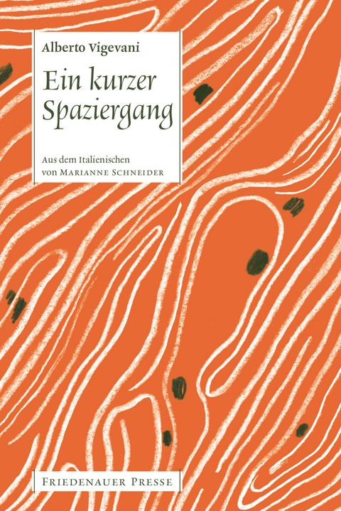 Ein kurzer Spaziergang - Alberto Vigevani