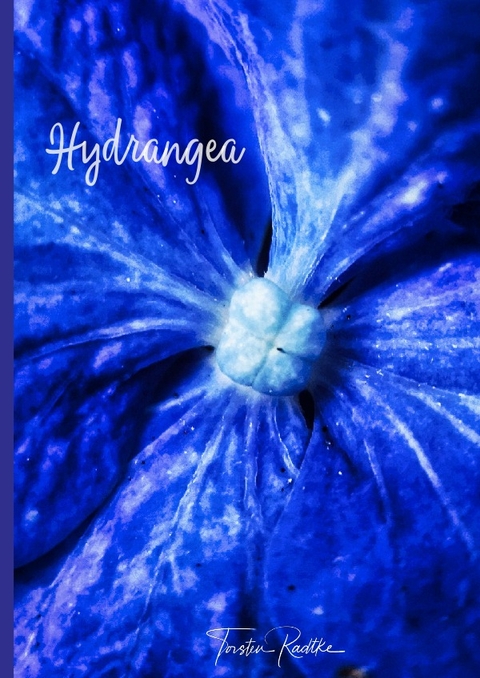 Plant Spirits / Hydrangea - Torsten Radtke