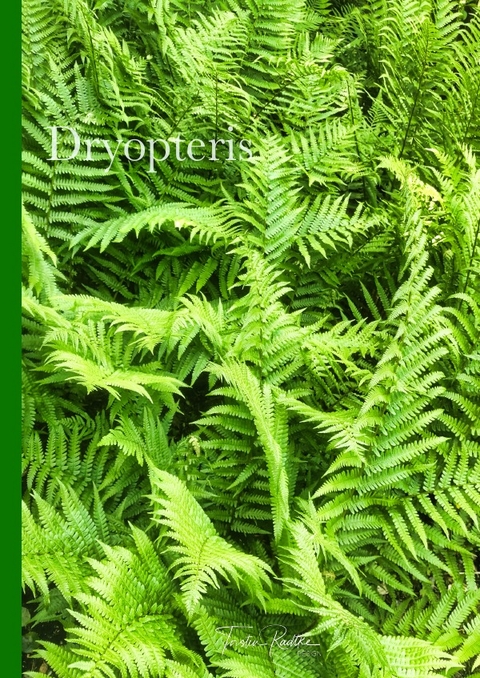 Plant Spirits / Dryopteris - Torsten Radtke