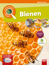 Leselauscher Wissen: Bienen - Melanie Braun