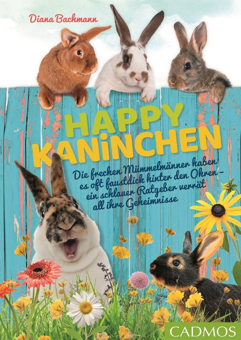 Happy Kaninchen - Diana Bachmann