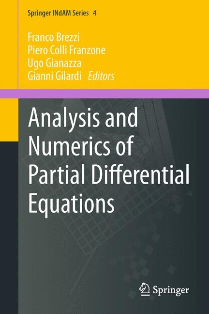 Analysis and Numerics of Partial Differential Equations - 