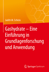 Gashydrate – Eine Einführung in Grundlagenforschung und Anwendung - Judith M. Schicks
