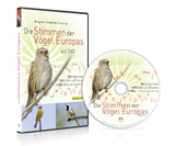 Die Stimmen der Vögel Europas auf DVD - Bergmann, Hans-Heiner; Engländer, Wiltraud; Baumann, Sabine