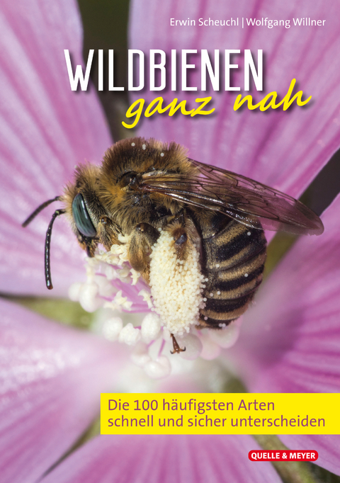 Wildbienen ganz nah - Erwin Scheuchl, Wolfgang Willner