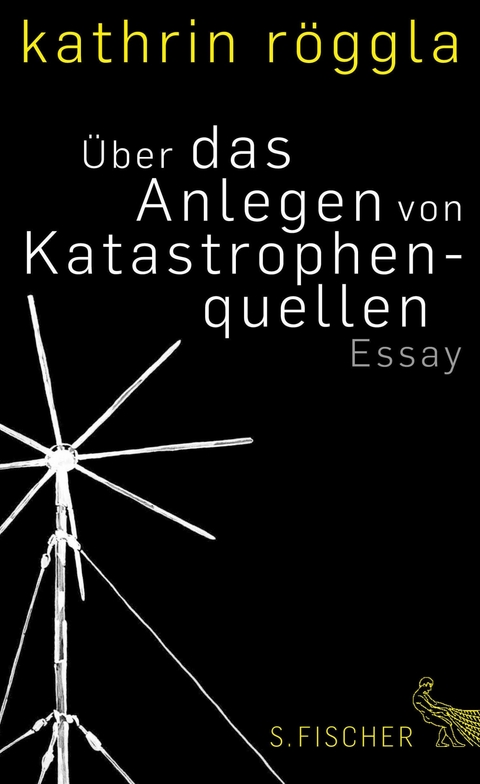 Über das Anlegen von Katastrophenquellen - Kathrin Röggla