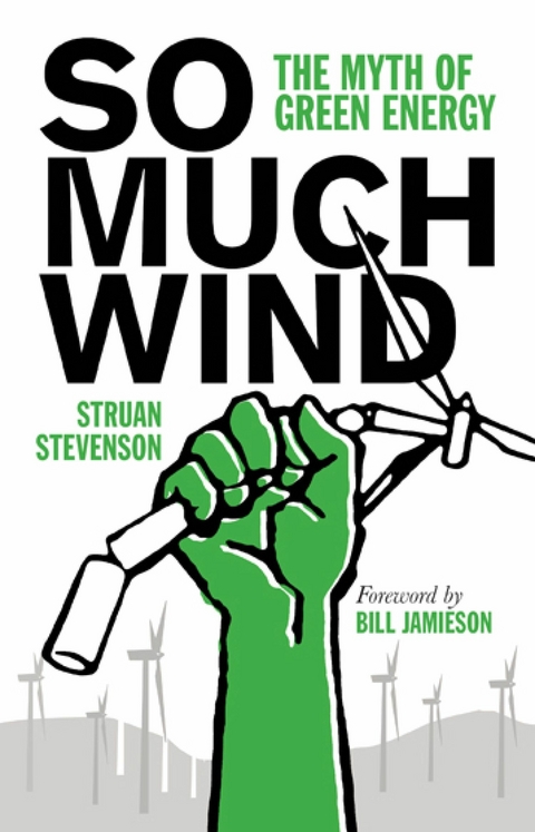 So Much Wind -  Struan Stevenson