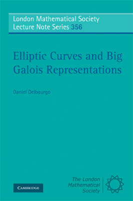 Elliptic Curves and Big Galois Representations -  Daniel Delbourgo