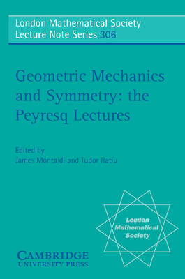 Geometric Mechanics and Symmetry - 