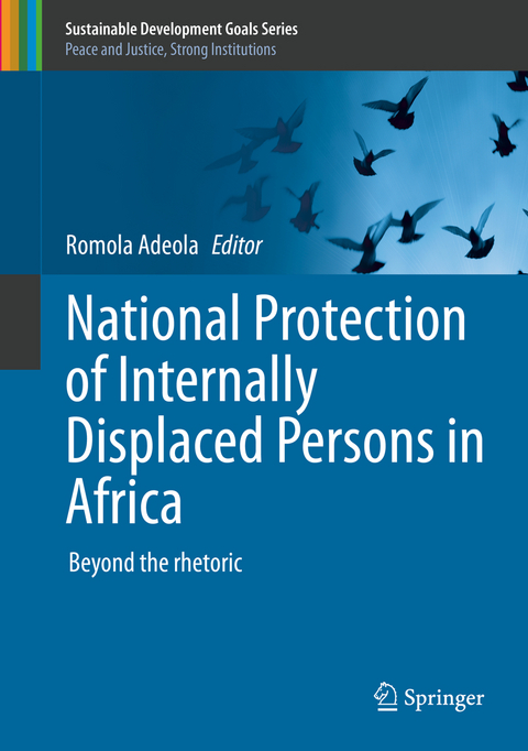 National Protection of Internally Displaced Persons in Africa - 
