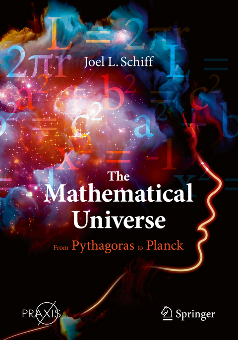 The Mathematical Universe - Joel L. Schiff