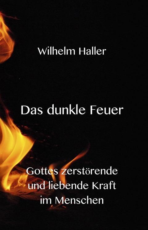Das dunkle Feuer - Wilhelm Haller