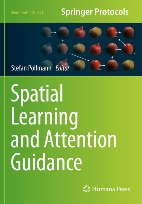 Spatial Learning and Attention Guidance - 