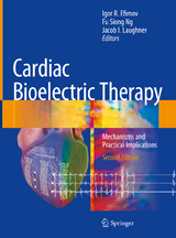 Cardiac Bioelectric Therapy - Efimov, Igor R.; Ng, Fu Siong; Laughner, Jacob I.