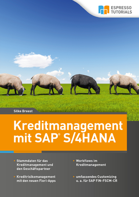 Kreditmanagement mit SAP S/4HANA - Breest Silke