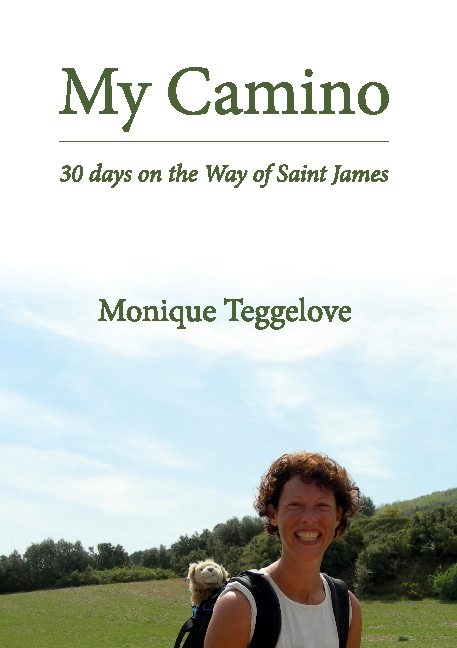 My Camino - Monique Teggelove