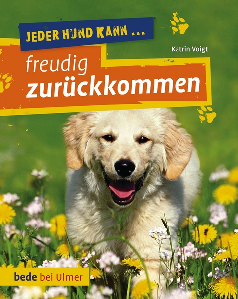 Jeder Hund kann freudig zurückkommen - Katrin Voigt