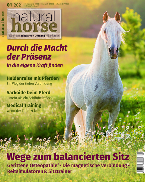 Natural Horse 33