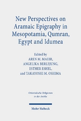 New Perspectives on Aramaic Epigraphy in Mesopotamia, Qumran, Egypt and Idumea - 