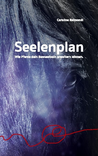 Seelenplan - Caroline Raimondi