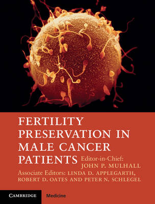 Fertility Preservation in Male Cancer Patients - 
