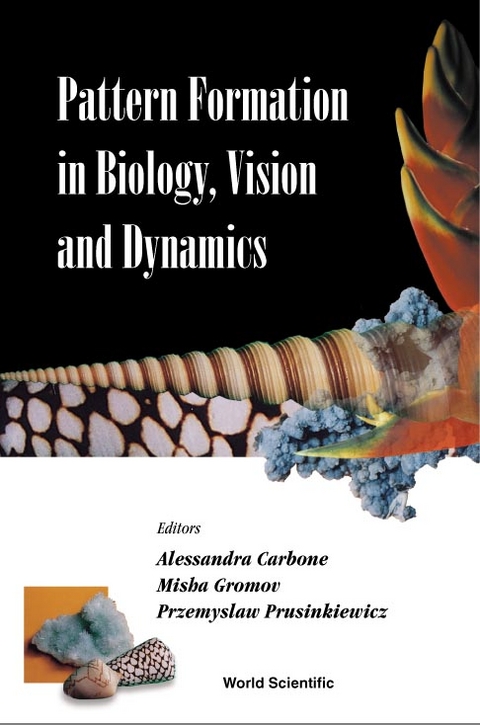 PATTERN FORMATION IN BIOLOGY, VISION... - 