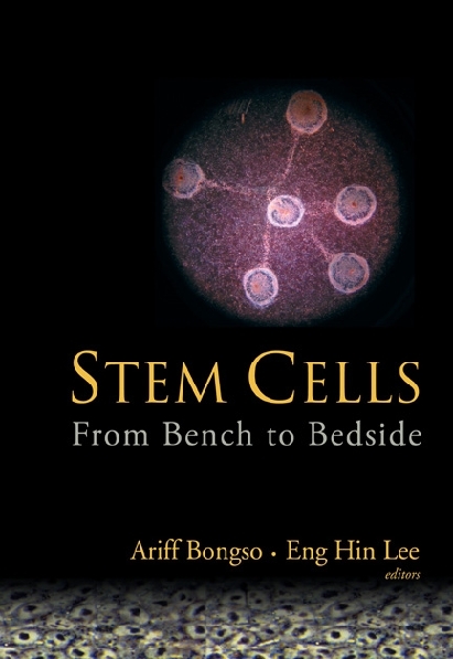 Stem Cells: From Bench To Bedside - 
