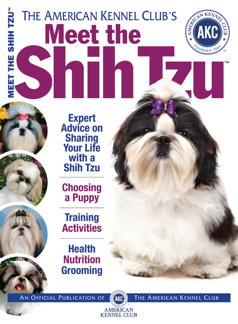 Meet the Shih Tzu -  American Kennel Club