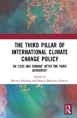 The Third Pillar of International Climate Change Policy - 