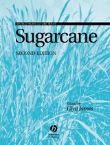 Sugarcane - 