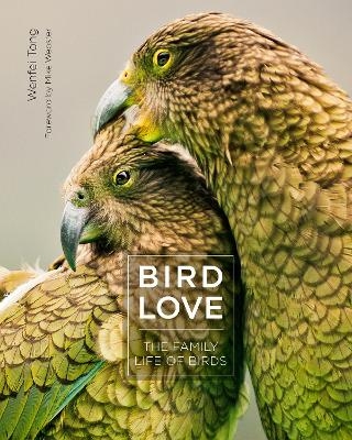 Bird Love - Wenfei Tong