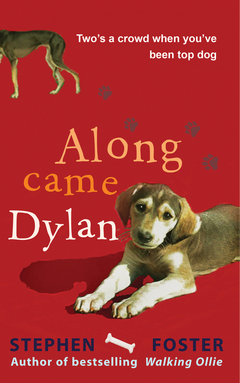 Along Came Dylan: Two's a Crowd When You've Been Top Dog -  THE ESTATE OF STEPHEN FOSTER,  Stephen Foster