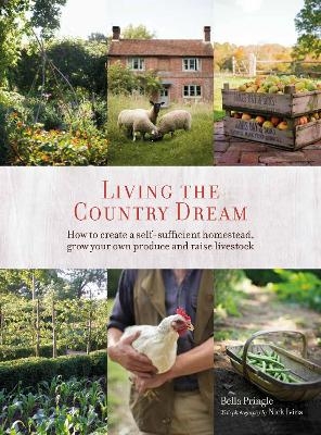Living the Country Dream - Bella Ivins, Nick Ivins