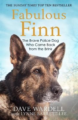 Fabulous Finn - Dave Wardell