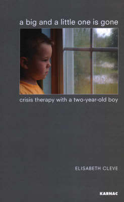 A Big and a Little One is Gone : Crisis Therapy with a Two-year-old Boy -  Elisabeth Cleve