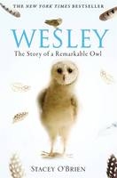 Wesley -  Stacey O'Brien