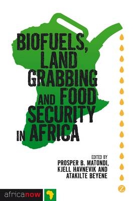 Biofuels, Land Grabbing and Food Security in Africa - 